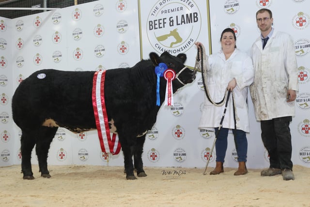 The Reserve Champion British Blonde Heifer at the 2022 Royal Ulster Beef & Lamb Championships was presented to Thomas Johnston from Toomebridge.