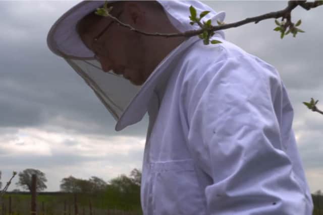 Jack Wilson hard at work with his bees. (Pic: UTV)