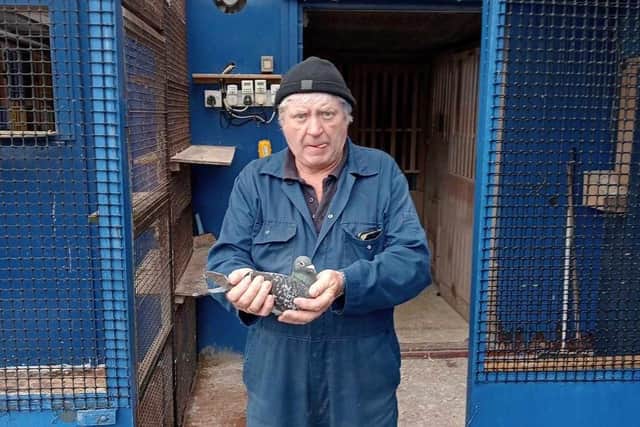 Nigel of N J Arthurs of Ballycarry & District pictured with his 2021 hen he timed from St. Malo. He finished 2nd Club, 6th Section C, 39th National. This hen is a Lambrechts Hen bred down from Danny Dixons.