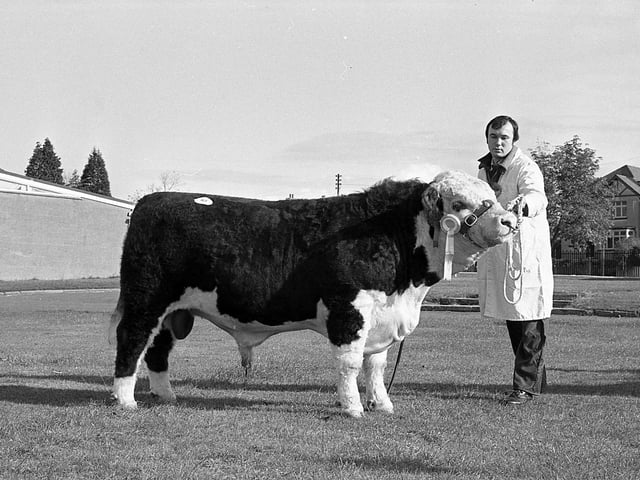 This collection of old photos is from 1981.