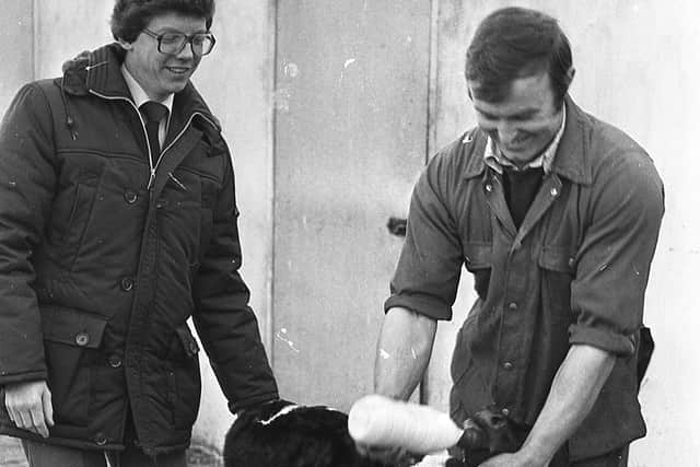 Dennis Minford of Nutt’s Corner, Crumlin, Co Antrim, feeding colostrum with the test system, ensuring that the calf got the required quantity to maximise immunity. Looking on is Mervyn Johnston, DANI advisory officer, Ballyclare. Picture: Farming Life/News Letter archives