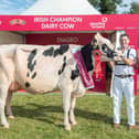 The McCormick family from Bangor in Co Down won the 2022 Diageo Baileys’ Irish Champion Cow competition. Picture:  Finbarr O’Rourke
NO REPRO FEE