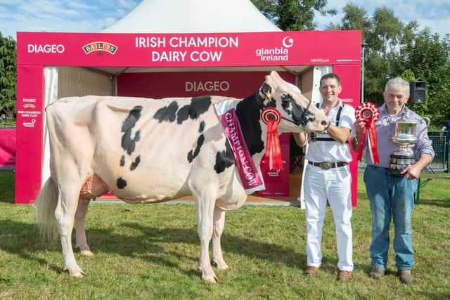 The McCormick family from Bangor in Co Down won the 2022 Diageo Baileys’ Irish Champion Cow competition. Picture:  Finbarr O’Rourke
NO REPRO FEE