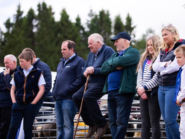 Crowds gathered to watch the Blue Texel classes.