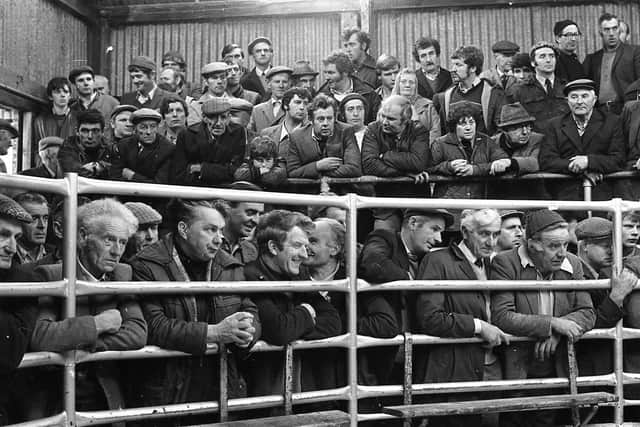Pictured in October 1982 is a section of the crowded ringside during the first season sale of suckled calves at Ballyclare. Picture: Farming Life/News Letter archives