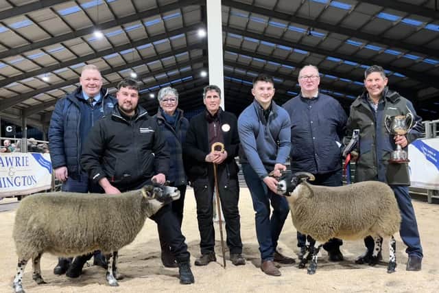 Wight family gimmer is champion at Lanark annual show and sale of ...
