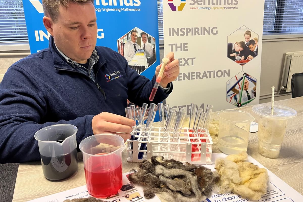 Polyester/wool Project Schools announced in Ulster Wool project