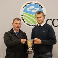 9200gns Haystar Beauty leads NI Simmental Club’s 55th anniversary sale