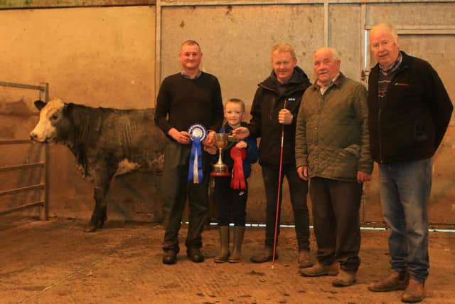 First place in the heifers and reserve overall, Gareth Murphy pictured with Terrence Fitzpatrick, Hilltown mart manager John Farnon and judge Colin Reid at the mart's spring show and sale on Saturday 22nd April. The sale saw fat cows sell to £2200, heifers to £2000 and bullocks to £2200
