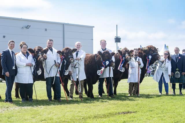 Continental Interbreed Team of Five champions, Salers. Pictured with LMC chief executive Colin Smith and judge Colin Fordyce. (Pic: LMC)