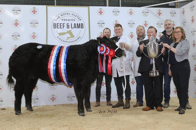 The Supreme Champion sponsored by Bank Of Ireland and the recipient of the coveted Allams Cup at the fifth Royal Ulster Premier Beef & Lamb Championships was awarded to JCB Commercials from Co. Down. Pictured (L-R) Charlie Beverland, Mark Reid, Gareth Corrie, Gavin Scott (Judge), Johnny Neill and Diane McCall (Bank of Ireland). On the night the Supreme Champion was purchased for £6500 by Kitson Family Butchers, N Yorkshire.