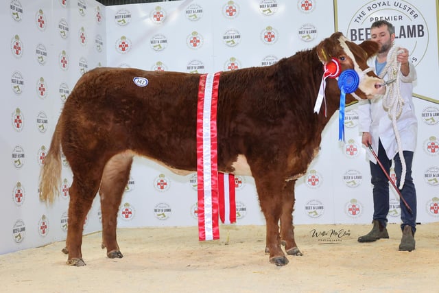 The Reserve Champion Simmental Heifer at the 2022 Royal Ulster Beef & Lamb Championships was presented to Leonard family from Enniskillen. Pictured, Mark Leonard.