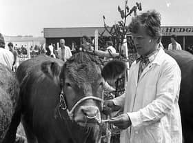 Mr Norman McAdoo from Moneymore, Co Londonderry, with the Limousin reserve champion at the Ballymena Show in June 1982. Picture: Farming Life/News Letter archives