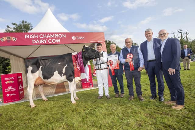 Pictured at 2023 Diageo Baileys Champion Cow competition at the Virginia show in Cavan were Paul Murphy, Handler, Bryan O’Conner & John O’Conner, owners of Reserve Champion ‘Bawnmore Pepper, Almeric’ Jim Bergin CEO Tirlan and Shane Kelly, Corporate Relations Director Diageo Ireland.