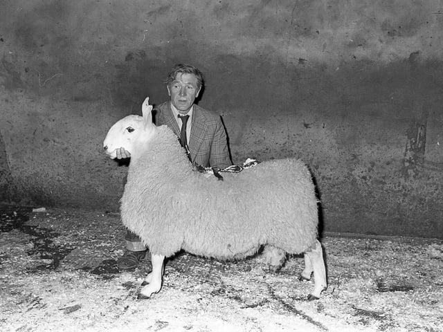 This collection of old photos is from 1981.