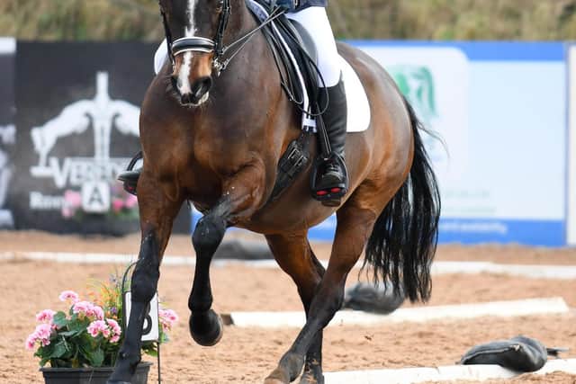 Lucy Johnston riding Dolce, winners of the Intermediate Dressage. (Pic: Tori OC Photography)