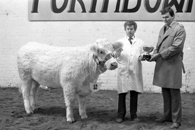 Pictured in November 1982 is George Henderson, Newmills Road, Coleraine, with the Charolais female champion, being presented with the winning trophy by Terence Doherty from Ballymena at a Charolais breed show and sale which was held at Portadown. Picture: Farming Life/News Letter archives