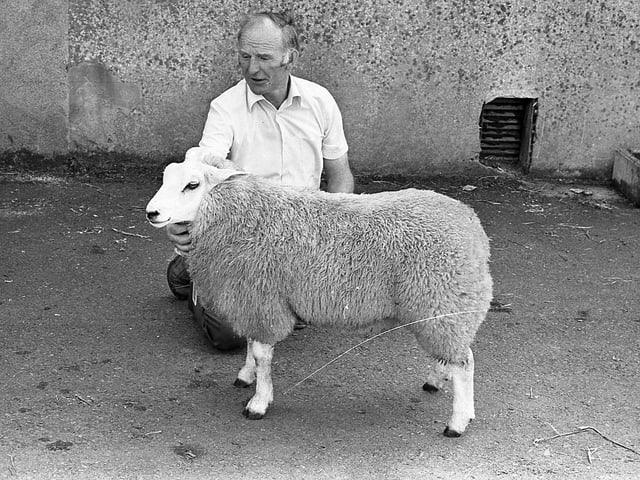 This collection of old photos is from 1981.
