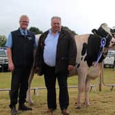 Christopher Heenan of Barbican Farms, Newcastle, with the second calver, Erie Liberty Generous VG88, who claimed the second qualifying place at Castlewellan Show. Congratulating Christopher are Ronald Annett (Thompsons) and Kenneth Boyd (judge). Pic; Thompsons