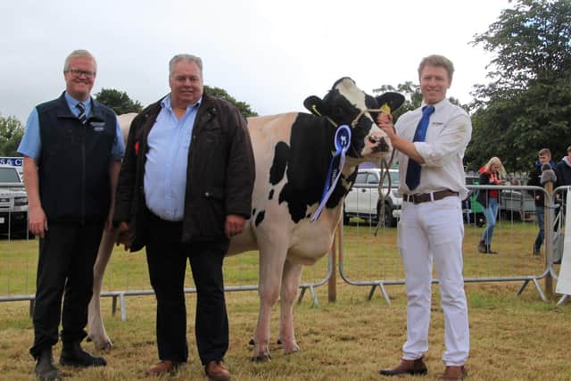 Christopher Heenan of Barbican Farms, Newcastle, with the second calver, Erie Liberty Generous VG88, who claimed the second qualifying place at Castlewellan Show. Congratulating Christopher are Ronald Annett (Thompsons) and Kenneth Boyd (judge). Pic; Thompsons
