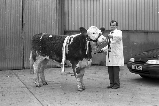 Pictured in March 1992 is Wesley Abraham from Irvinestown, Co Fermanagh, with Magheracrigan Anne, the female champion at the Northern Ireland Simmental Club show and sale which was held at the Automart, Portadown. Picture: Farming Life/News Letter archives