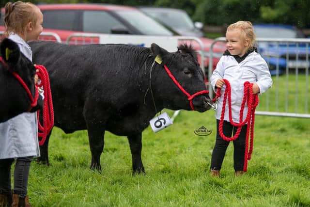 Leah Lester with her Dexter heifer. Pic: Dexter club