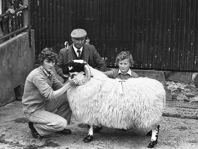 This collection of old photos is from 1981.