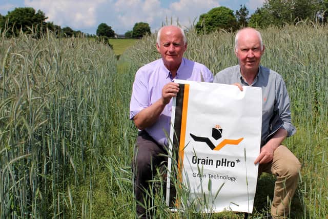Phro New Grain pHro+ treatment specification further boosts feed protein levels