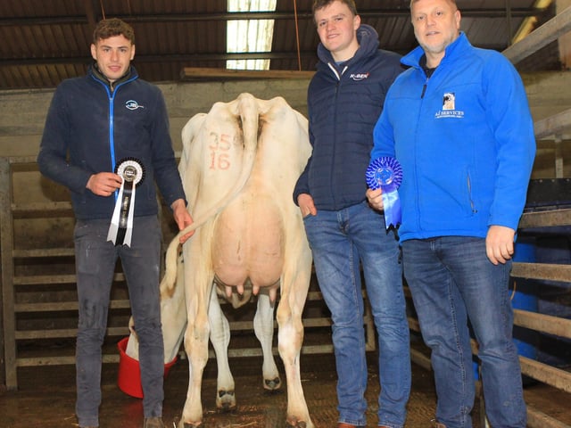 Jordan McLean exhibited the reserve champion Relough Applaud Danna 3 VG86-2yr sold for 3,700gns. Included are judge James Patton, and sponsor David Dunlop, AI Services (NI) Ltd. Picture: Julie Hazelton