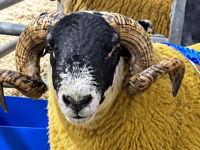 4400gns from W & M Smyth