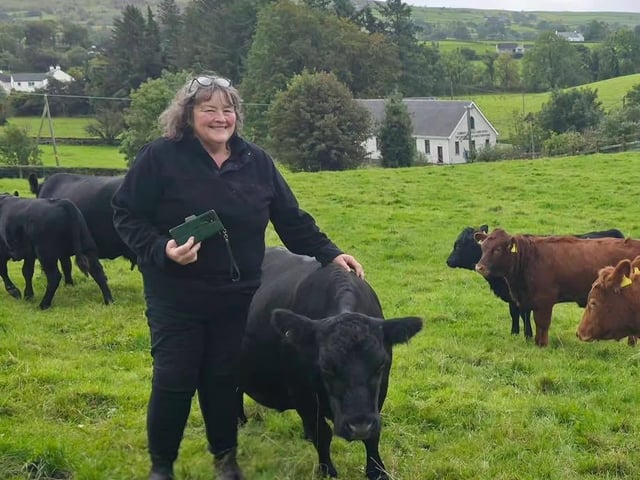 dexter herd competition