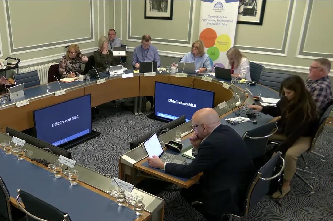 Fivemiletown cattle cull report by Dr Martin Blake 'taking more time than expected' but could be completed 'by the end of October'