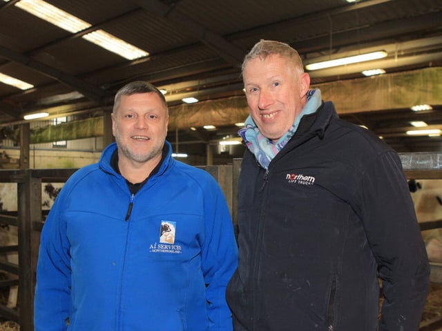 Sponsor David Dunlop, AI Services (NI) chats to Dungannon Dairy Sale vendor Malcolm McLean, Donaghmore. Picture: Julie Hazelton