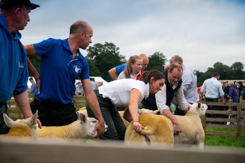The Randox Antrim Show will be held on 22 July 2023. The show takes place at Shanes Castle.