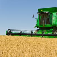Cereal supply and demand in the UK