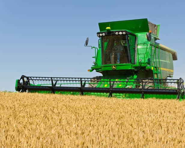 Over the coming days, the conflicts in the Black Sea and Middle East and harvest reports are likely to influence prices.