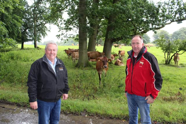 Discussing the two-day celebration of Jersey Cattle breeding in Northern Ireland is Mark Logan, Clandeboye Estate, and Ashley Fleming, Potterswalls Jersey
herd. (Image supplied by Richard Halleron).