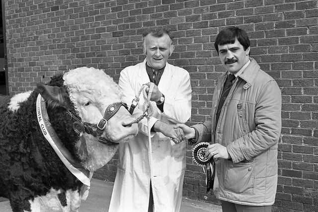Mr John Gabbie, Ballynahinch. Receiving the Northern Bank rosette from David Workman after winning the Simmental supreme championship with a bull at the breed show and sale at Balmoral in April 1982. Picture: Farming Life/News Letter archives