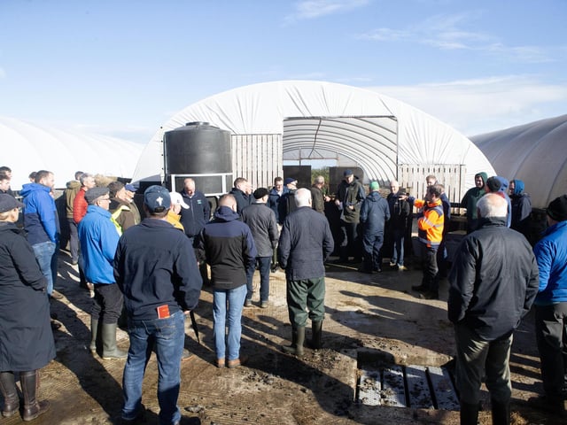 Visitors hear about calf rearing in polytunnels at Workman Farms