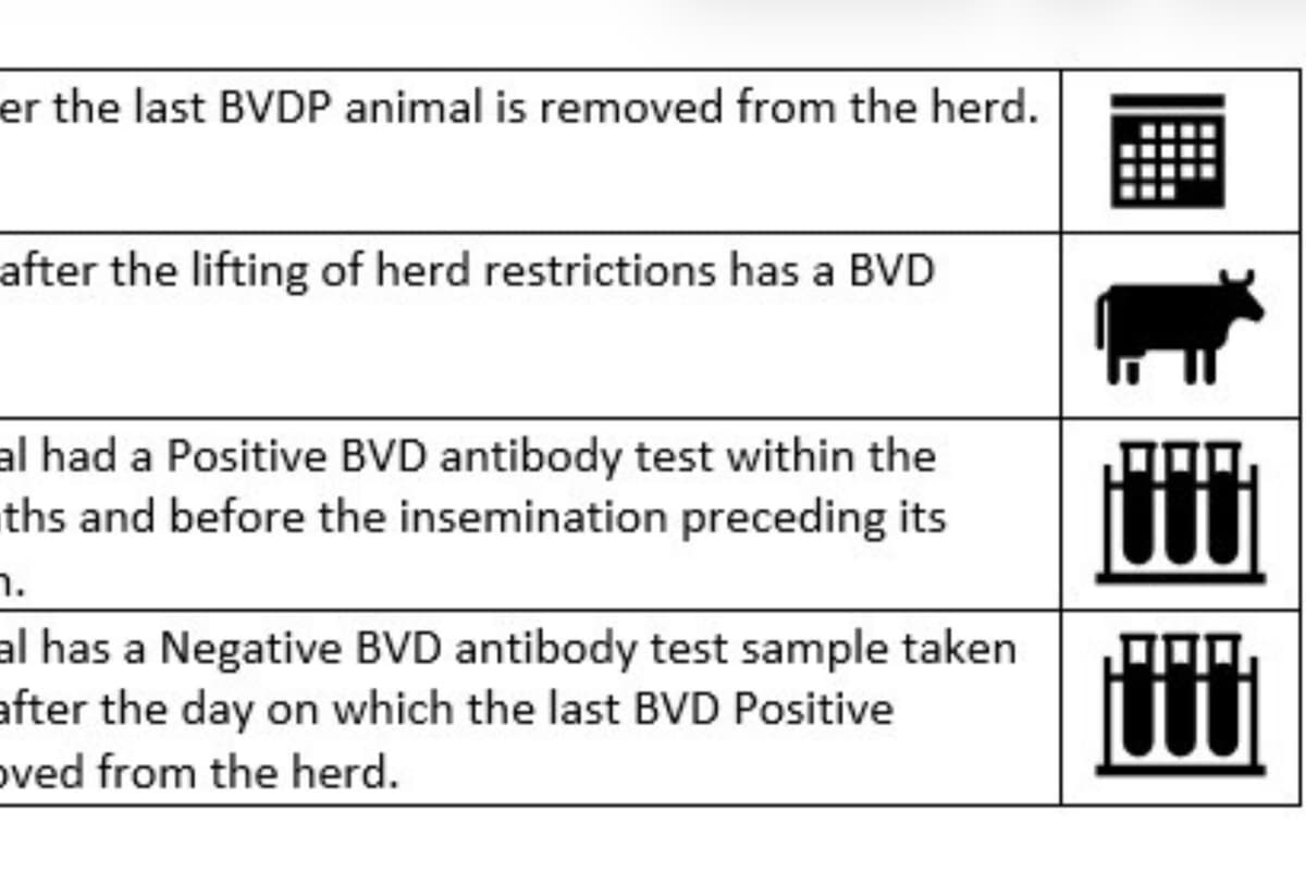 Bvd Testing Flowchart BVD restriction changes – dealing with the consequences