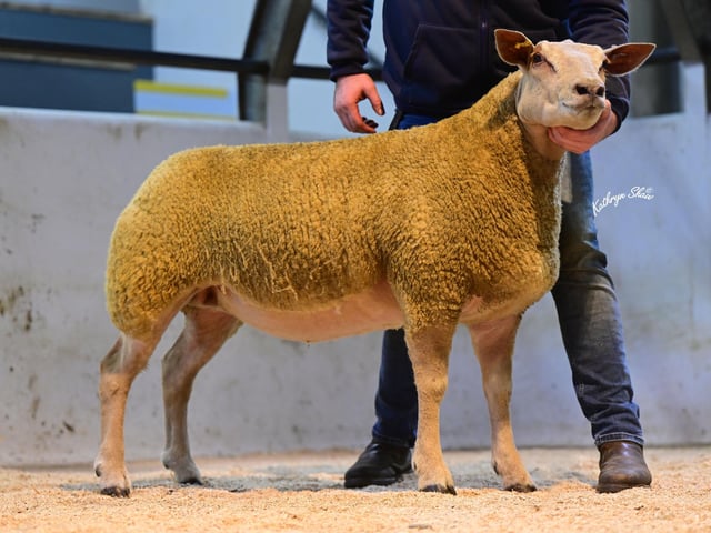 Lot 76 selling to P Vallely for 2,000gns