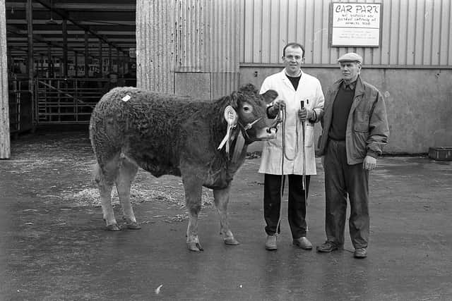 Trade for Limousins at the club sale in the Automart, Portadown, near the end of February 1992, was excellent and followed the trend that had been set in Perth. In this photograph we see Killagan Fiesta, the reserve champion and female champion, owned by Seamus Rainey, left, of Glarryford, Ballymena. At the halter is Colin Christie. Picture: Farming Life/News Letter archives