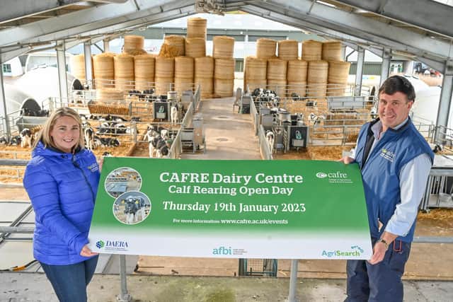 Register now to attend a Calf Rearing Open Day at Greenmount Campus, Antrim, on Thursday 19 January 2023.