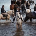 Pictured enjoying the Holestone Farmers Bloodhounds recent drag hunt.