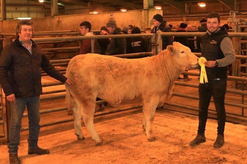Third place weanling heifer exhibited by Canice Quinn pictured with his father Canice Quinn. Picture: Submitted