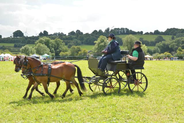 A pair of Kerry Bog Ponies with carriage. Photo Joe Keogh