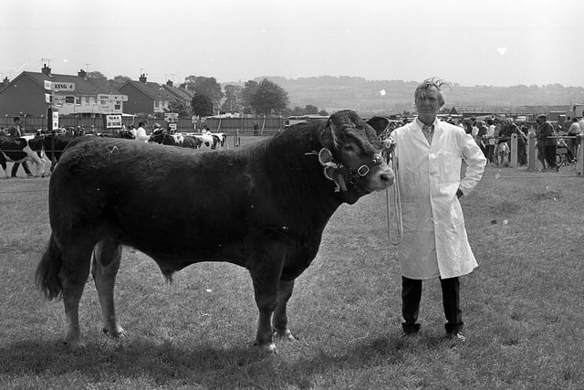 Mr Eric Cuttle from Comber, Co Down, with his wife’s Limousin supreme champion bull at the Ballymena Show in June 1982. Picture: Farming Life/News Letter archives