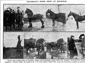 Some of the horses which were on display at the Ulster horse breeding show which was held at Balmoral a century ago this week in 1923. Picture: News Letter/Farming Life archives