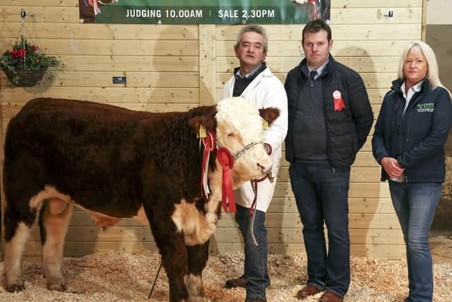 David Wilson, with his overall Native Champion. Also included are Gary McKeran, Judge and Ann Keelagher, Leam Agri, Sponsor.