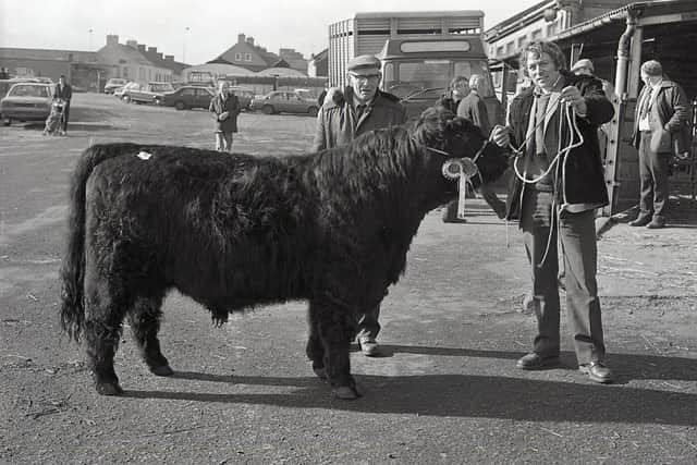 Pictured in February 1992 is James Millar, Aughafatten, and son Robert, with the Galloway champion at the Co Antrim Agricultural Society's spring show and sale at Ballymena. Picture: Farming Life/News Letter archives